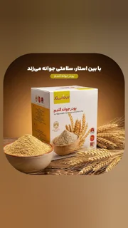 پودر جوانه گندم